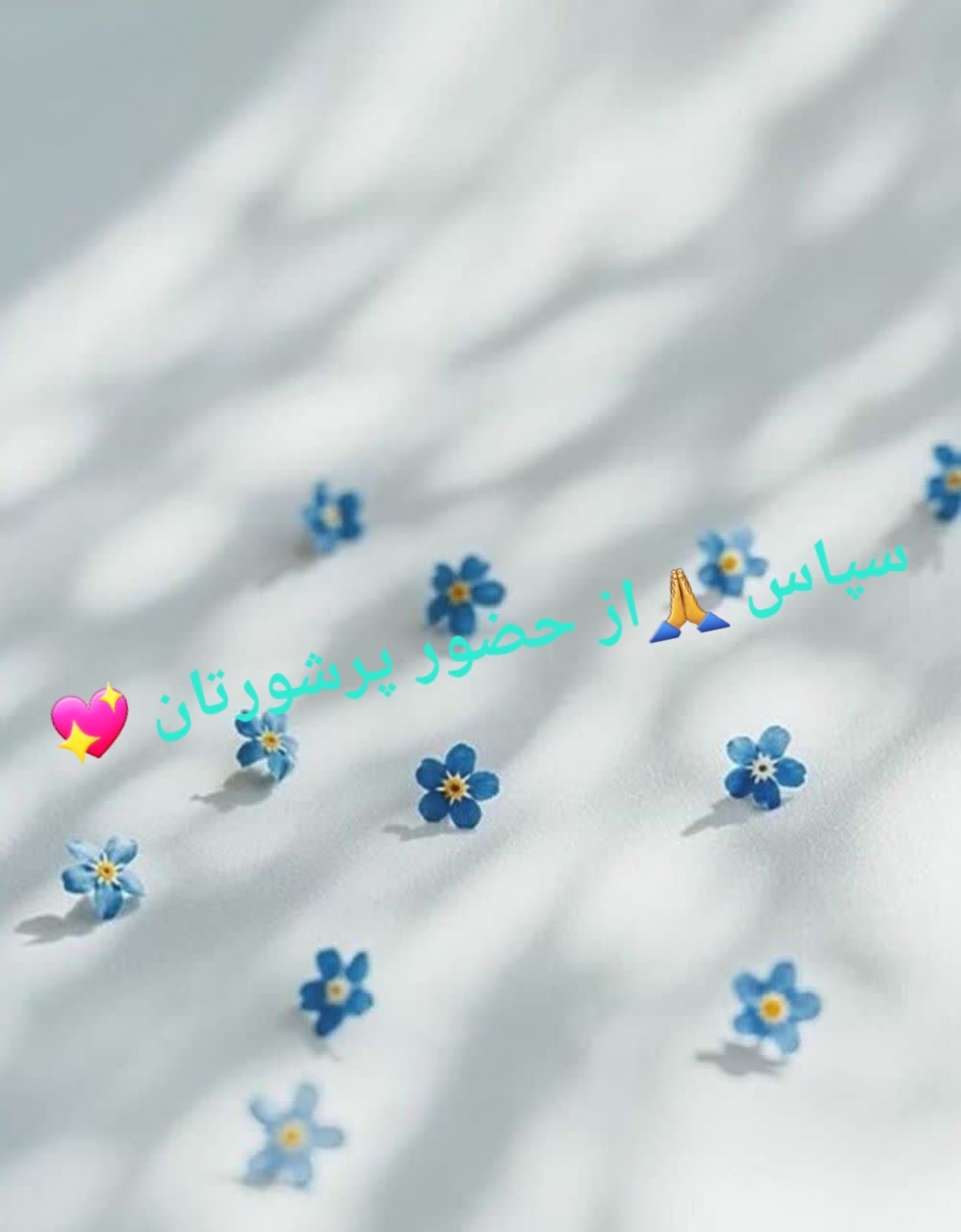 محصول ویژه ۲